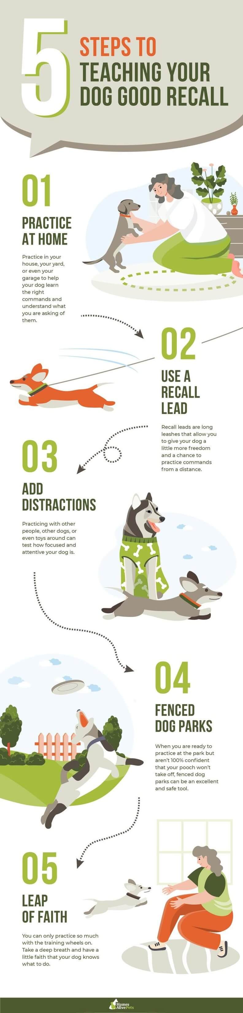 Recall Training for Dogs: Teaching Your Dog to Walk Off Leash Recall Training for Dogs: Teaching Your Dog to Walk Off Leash
